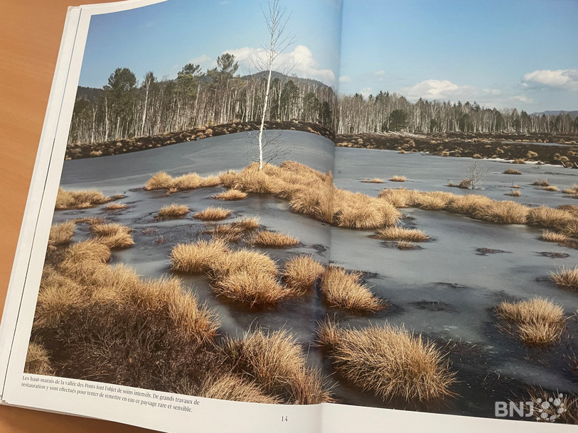 Les marais de la vallée des Ponts, sous l'oeil du photographe Mario Del Curto.