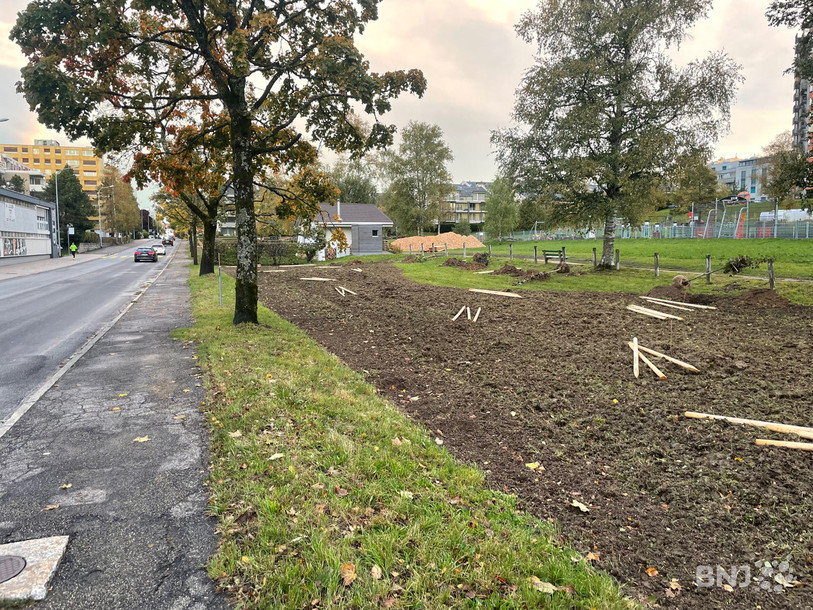 Le Paddock à La Chaux-de-Fonds à l’aube de sa réarborisation.