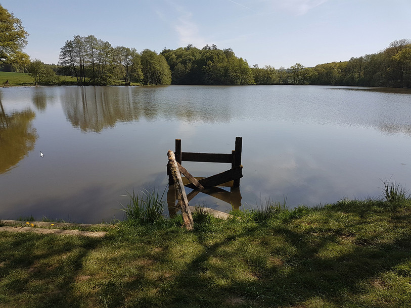 L’étang du Milieu, à Bonfol (photo : RCJU)