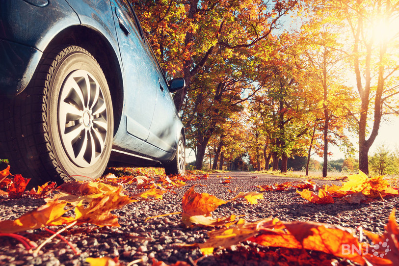 Alors que l’automne s’est bien installé sur la région, le TCS rappelle les bons comportements à adopter sur et autour de la route. (Photo : TCS