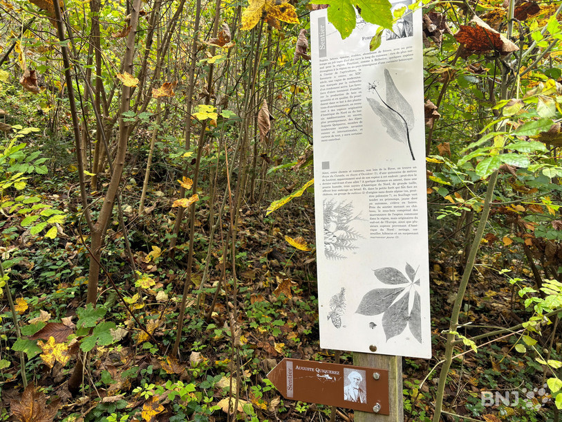Une trentaine de plaquettes ont été installées le long des 13 km de parcours.