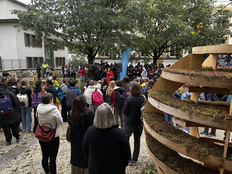 La cour végétalisée propose une structure en bois dans laquelle les élèves peuvent s'asseoir.