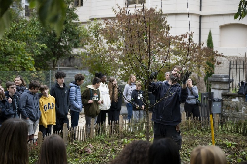 Des pommiers ont été plantés dans la cour des Terreaux. À l’avenir, ils fourniront une collation gratuite aux élèves. (Photo : Lucas Vuitel)