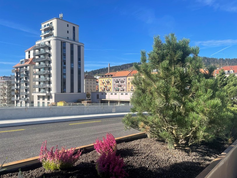 Arbres sur le Grand-Pont à La Chaux-de-Fonds. (Photo d'archive).