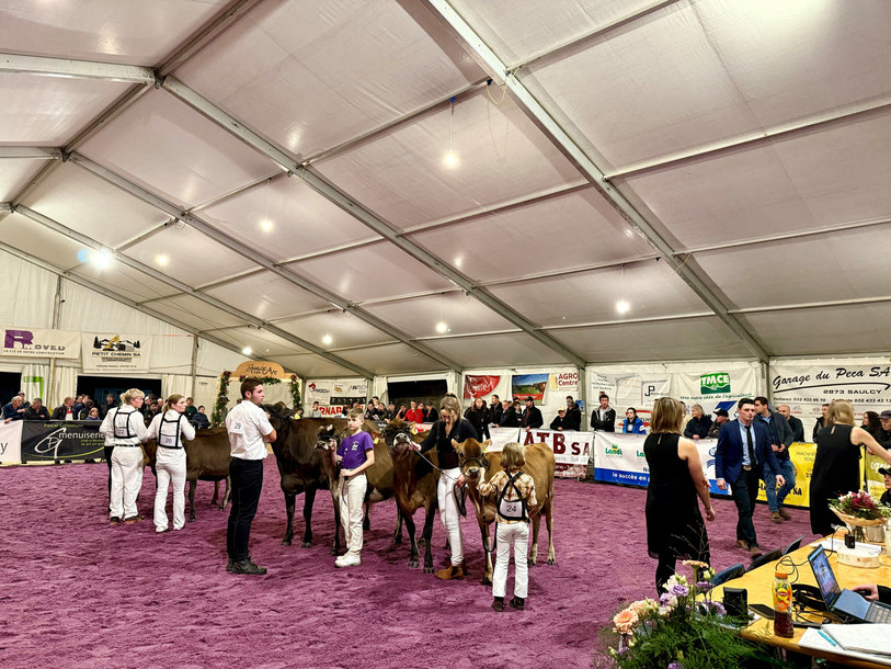 La Junior Arc Expo se déroule ce samedi à Saignelégier. (Photo : Junior Arc Expo/archives).