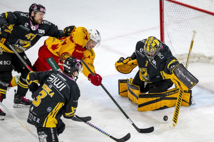 Le gardien jurassien Benjamin Conz a été intraitable face aux attaques des Tigres de Langnau. (Photos: KEYSONE/Georgios Kefalas)