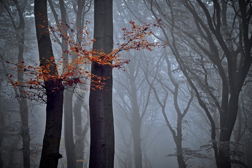 Le brouillard s'accroche dans la région, particulièrement en plaine, cet automne. (Photo: libre de droit)