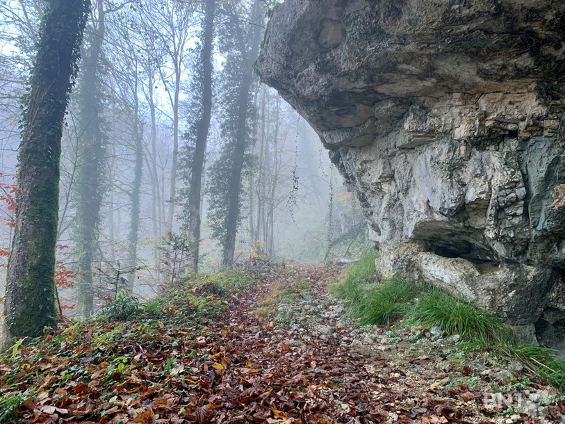 La roche à l'Aronde, grotte située le long du chemin de la douleur, sert de refuge aux promeneurs.
