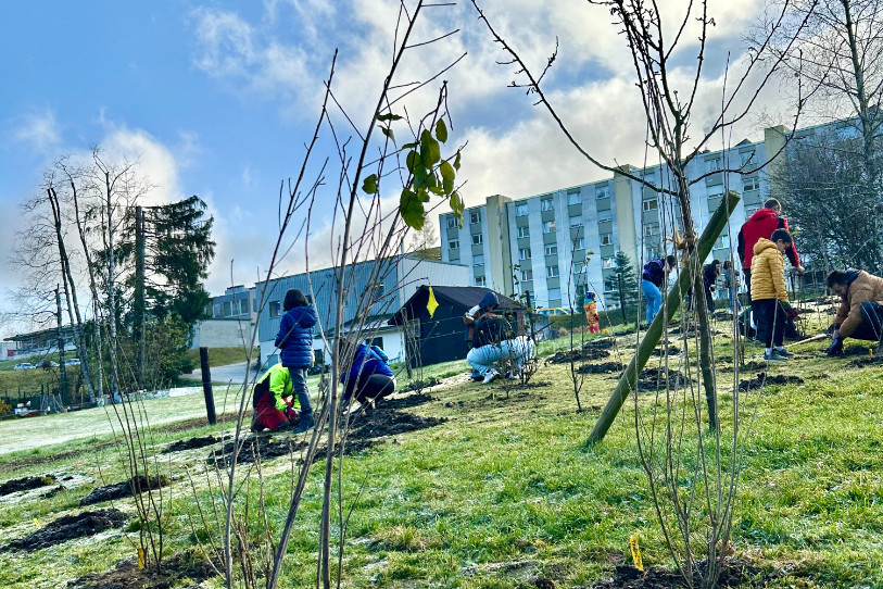 Les élèves du collège des Girardets ont pu participer à la plantation d'une haie dans la cour de leur école. (Photo : Pro Natura Neuchâtel).