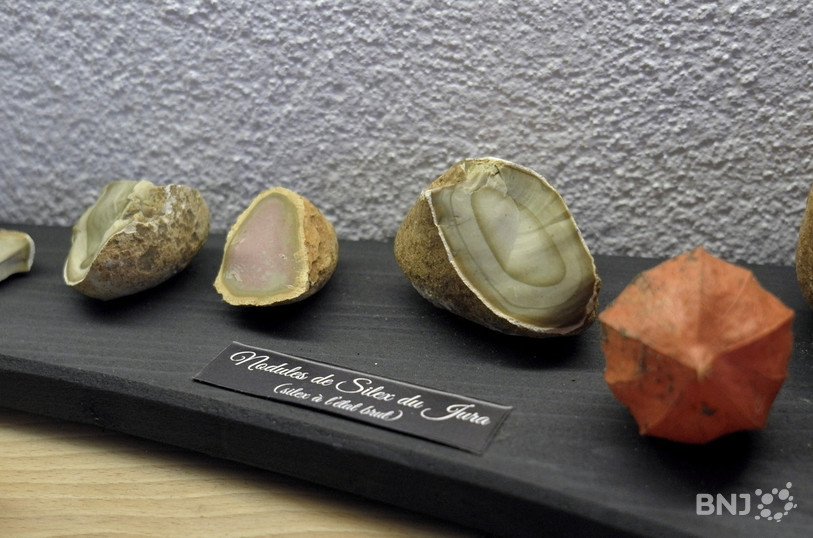Modules de silex du Jura exposés dans l’atelier de la Forge.