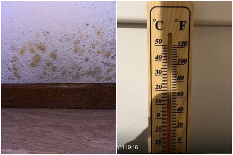 Des moisissures et des températures relevées dans des immeubles de la rue Georges-Favre, au Locle. (Photos : locataires).