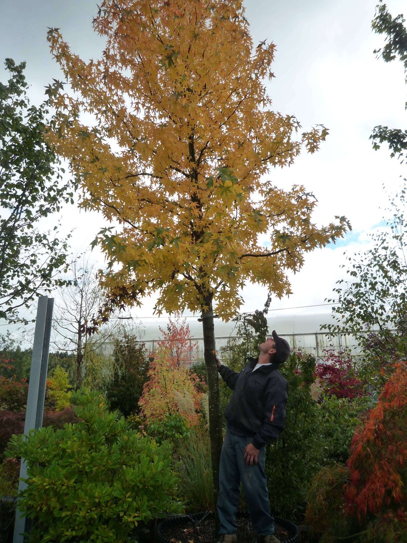 photo : Olivier Ribeaud