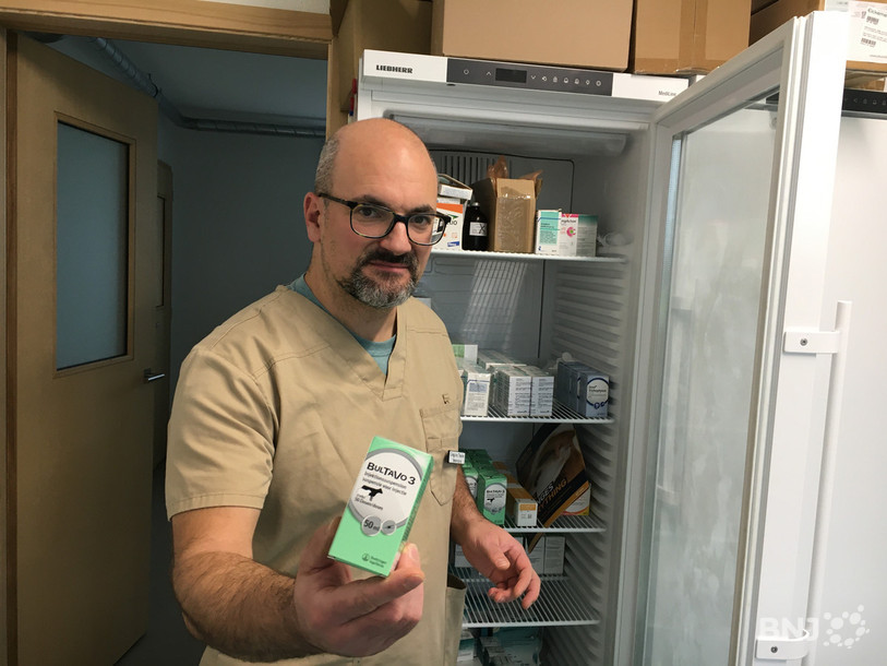 Grégoire Theubet tient entre ses mains le vaccins qui permet de limiter les symptômes causés par la langue bleue.