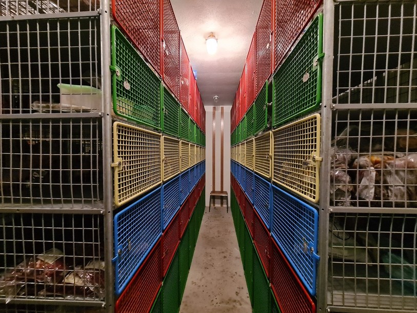 Les locataires pourront continuer d'utiliser le congélateur collectif de Corcelles-Cormondrèche. (Photo : Ville de Neuchâtel).