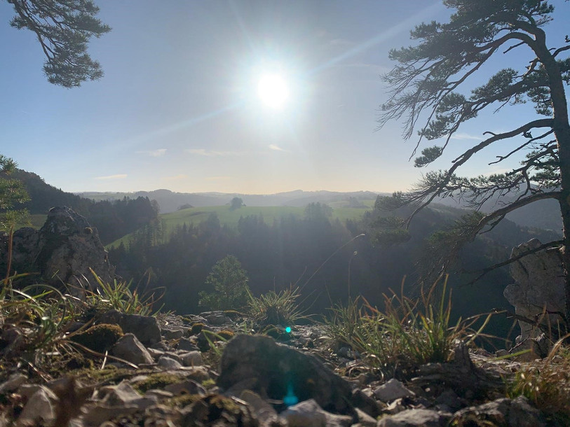 Cette balade nous offre une jolie vue sur les Franches-Montagnes. (Photo : Julien Hulmann)