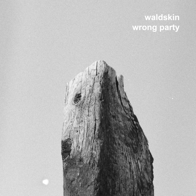 Waldskin, Wrong Party (pochette)