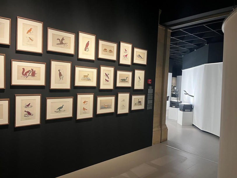 « Nommer les Natures », la nouvelle exposition du Musée d'histoire naturelle de Neuchâtel, a été inaugurée jeudi matin. 