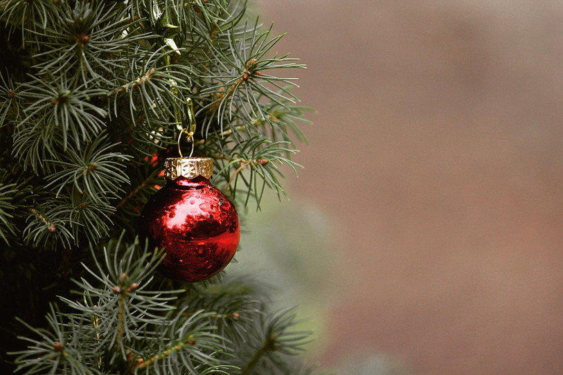 Le sapin de Noël est un incontournable de nombreux foyers. (Photo : illustration libre de droits)