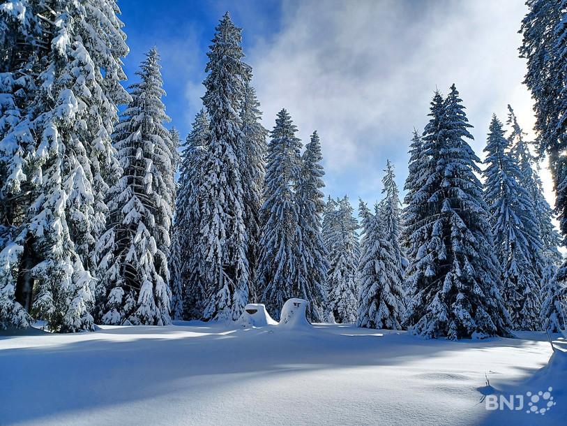 Les Franches-Montagnes durant les Fêtes de fin d’année 2024. Il y a mieux quelque part sur terre ?