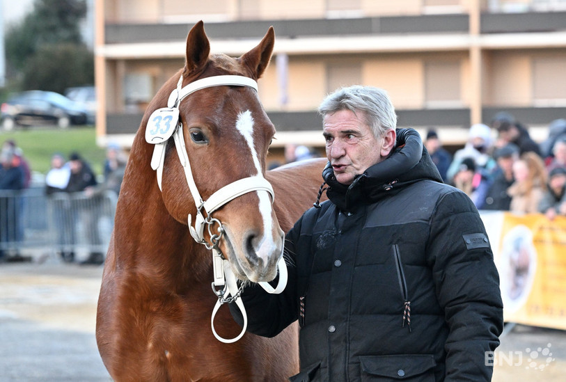 Pierre Koller et son étalon qui a gagné la sélection nationale ce samedi à Glovelier. (Photo : Georges Henz).