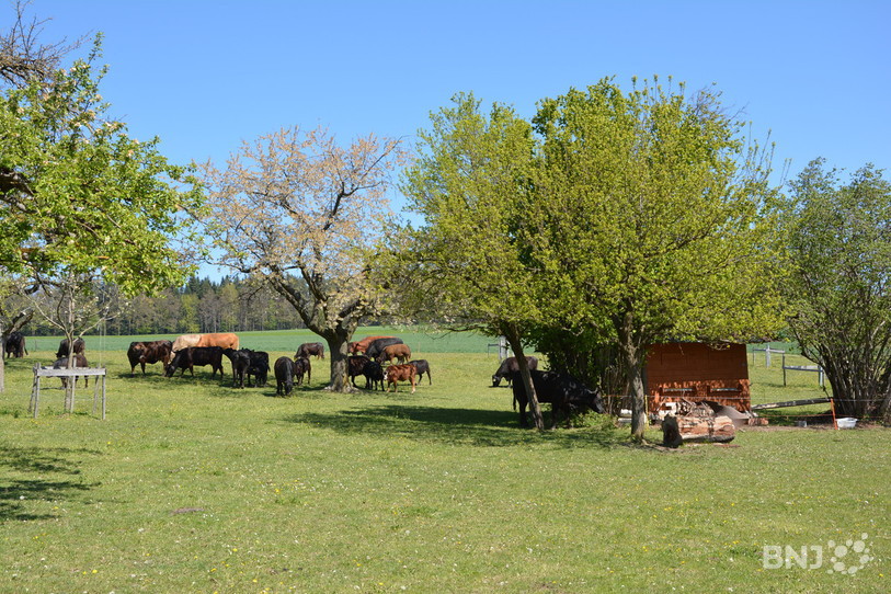 Verger de la Ferme Sur-Chaux, à Courtételle