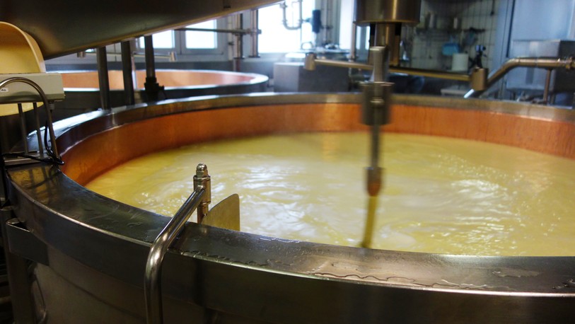 Le lait dans la cuve