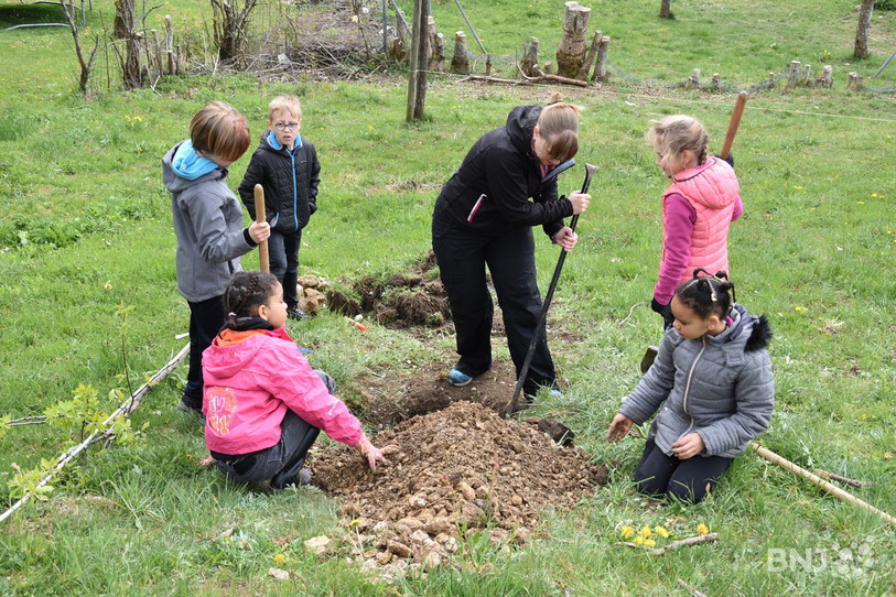 Les élèves du collège du Pâquier ont donné le coup d'envoi d'un projet-pilote visant à revitaliser les franges urbaines. Les enfants ont planté plusieurs arbres fruitiers dans un verger en bordure de village.