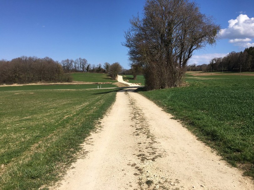 La future piste cyclable empruntera, à l’Est du village de Rocourt, le chemin inscrit à l’Inventaire fédéral des voies de communication (IVS) comme voie historique d’importance nationale (photo : www.jura.ch)