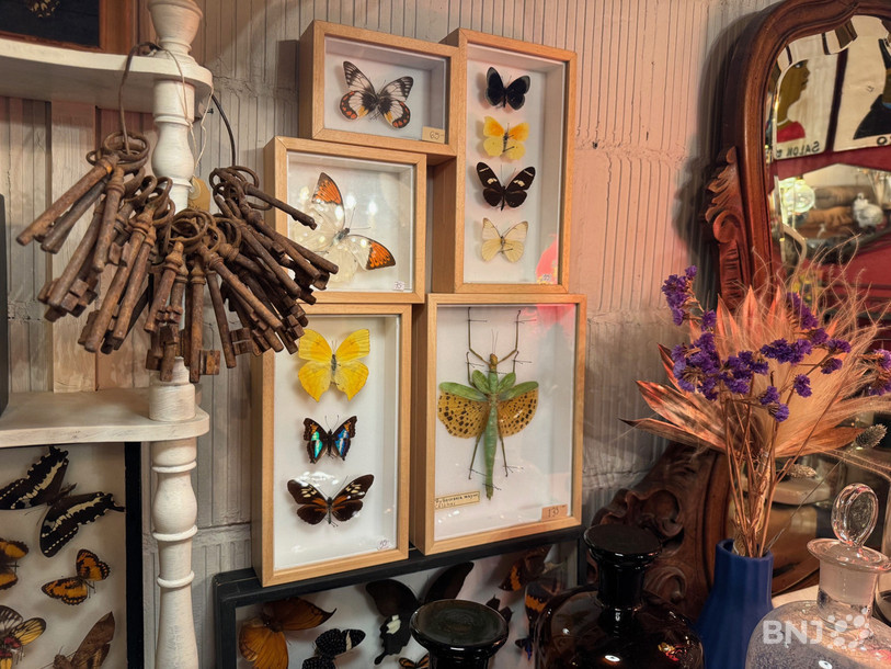 Les objets les plus divers se côtoient au sein de la boutique.