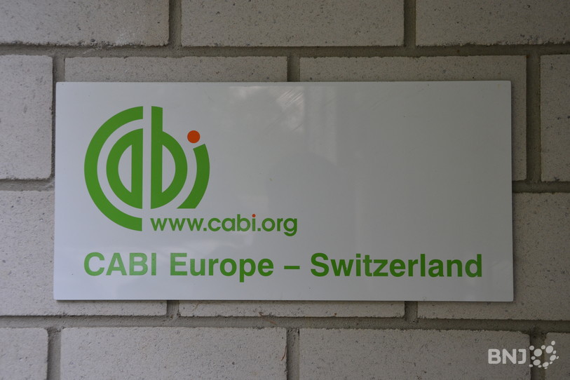 CABI