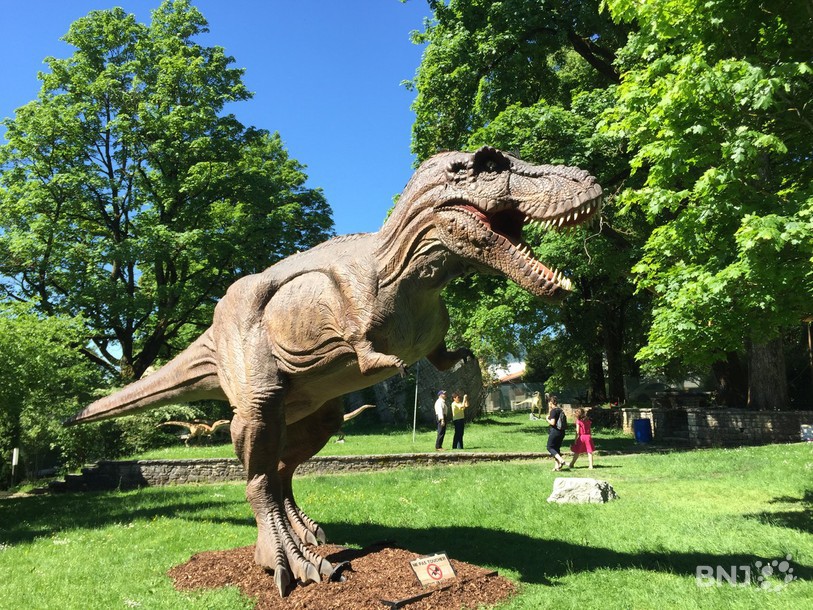 Le T-Rex animé fait le bonheur des petits et des grands. 