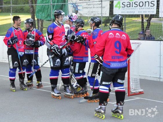 Bienne Seelanders (photo : www.friedli.ch)