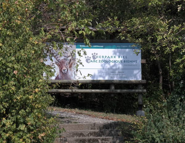 photo: www.tierpark-biel.ch