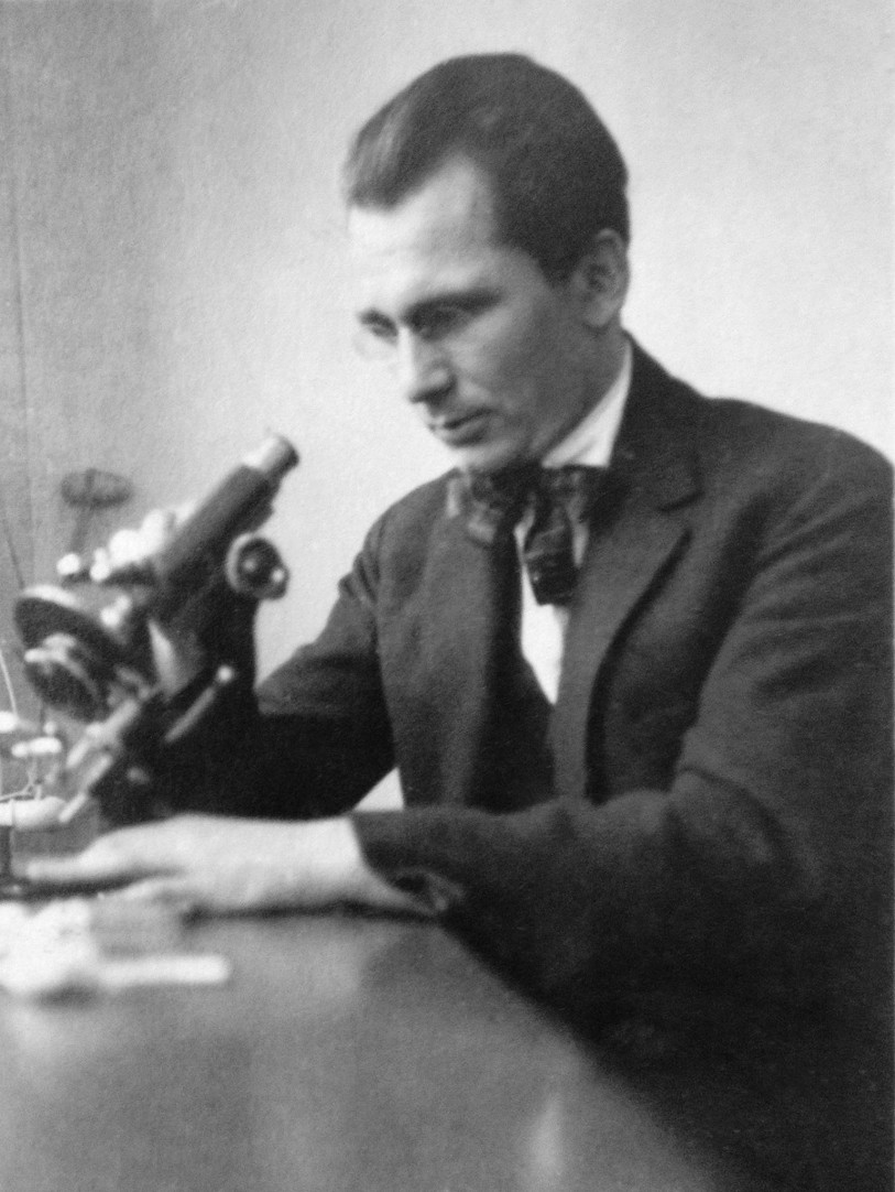 Werner Renfer