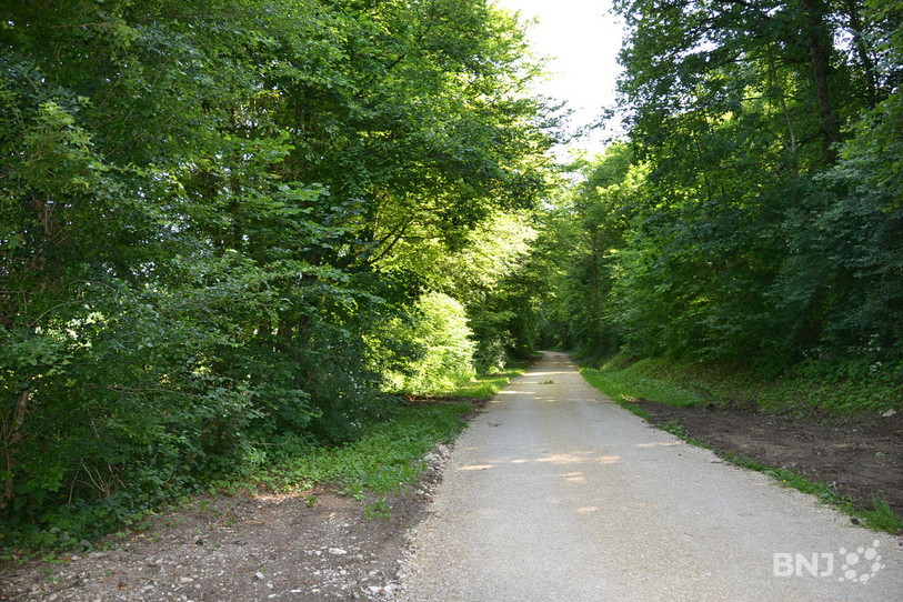 Rocourt