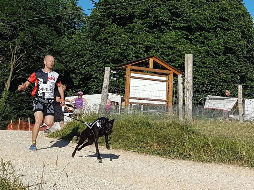 Silvan Geiser et Pearl ont dominé la catégorie canicross homme