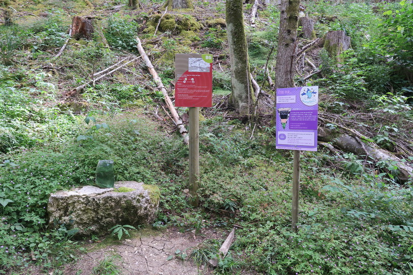 Les petits disposent également de leurs panneaux sur le sentier du bonheur à Sornetan