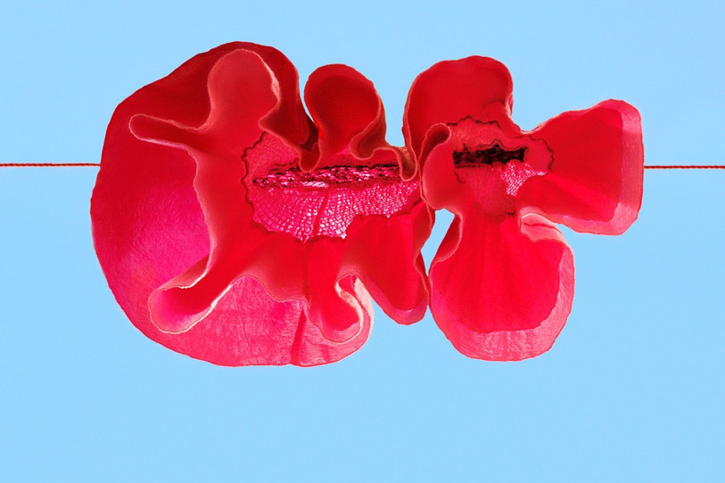 L’américaine Sally Gall a reçu le prix du public 2025 pour ses photographies de vêtements suspendus. (Crédits Photos : Nuit de la Photo, Sally Gall)