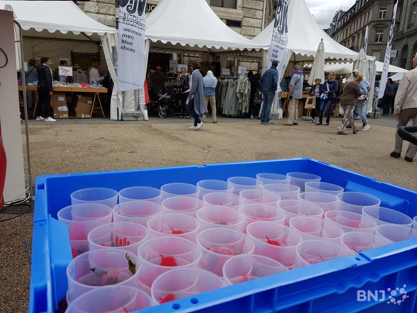 Une fois sales, les gobelets sont transportés dans des caisses vers l'un des quatre points de collecte de la ville.