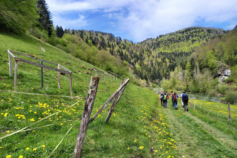 Le Parc du Doubs a dévoilé son programme 2025 ce lundi. (Photo : Parc du Doubs).