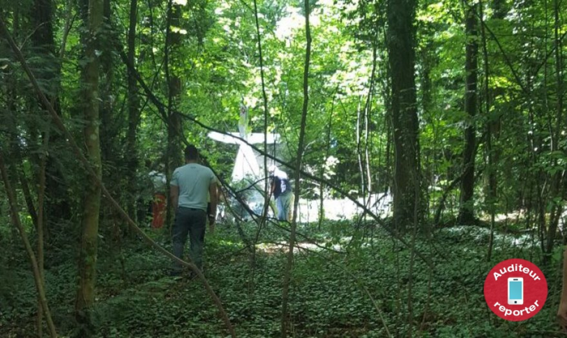 L'avion s'est écrasé dans une forêt de Colombier.