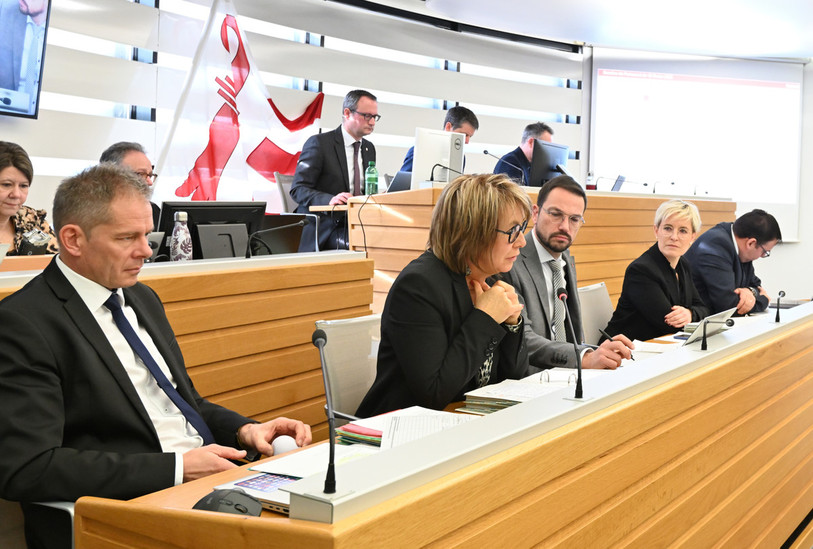 Nathalie Barthoulot a apporté des précisions sur l'audit qui sera mené au sein du DFCS. (Photo : Georges Henz).