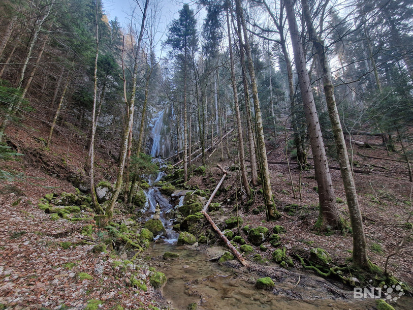 Les arbres abattus autour de la cascade de Môtiers.