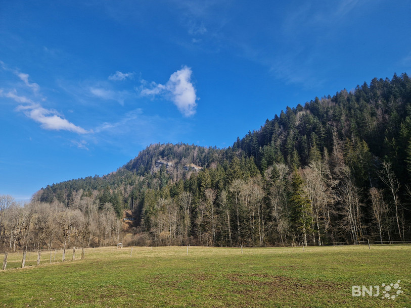 L'ensemble du secteur de la cascade de Môtiers concerné par les coupes de bois ces deux dernières semaines.
