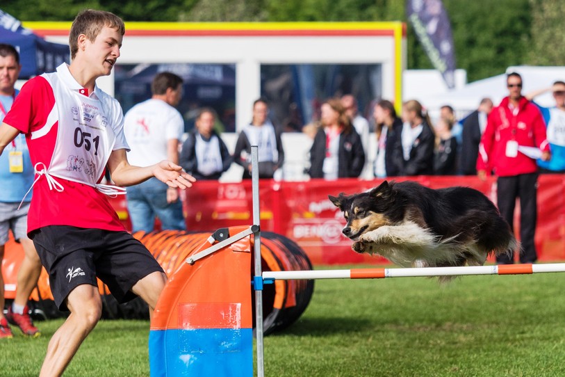 Simon Tabourat et Xcell aux championnats d'Europe junior d'agility
