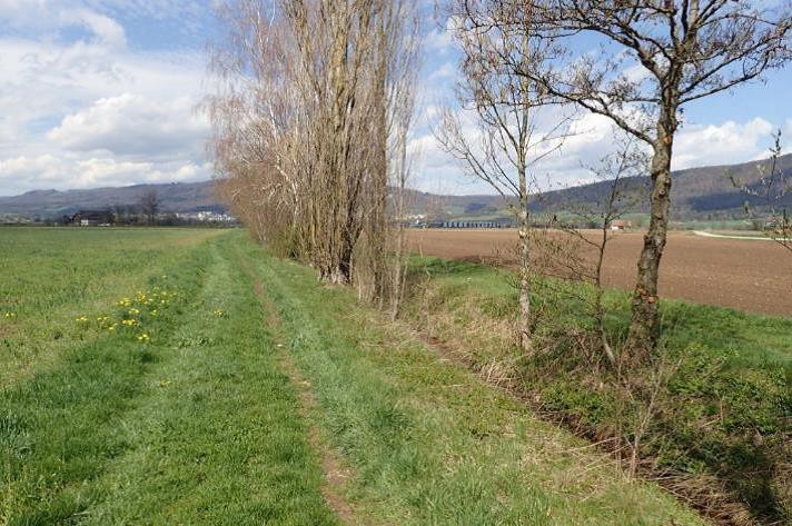 Le but des travaux est notamment de donner plus d'espace au canal. 