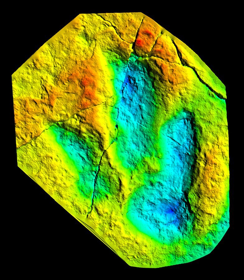 Modèle 3D d’une empreinte de pas de dinosaure carnivore jurassien, obtenu avec le logiciel DigTrace. (Photo : Matteo Belvedere, © OCC-SAP)