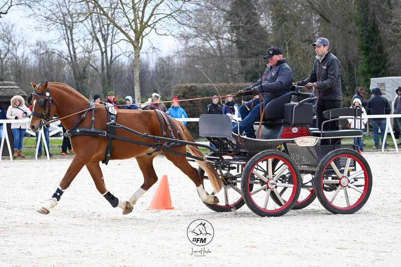 Erable a passé avec les brio les différentes étapes. (Photo : FSFM, Lucie Heusler).