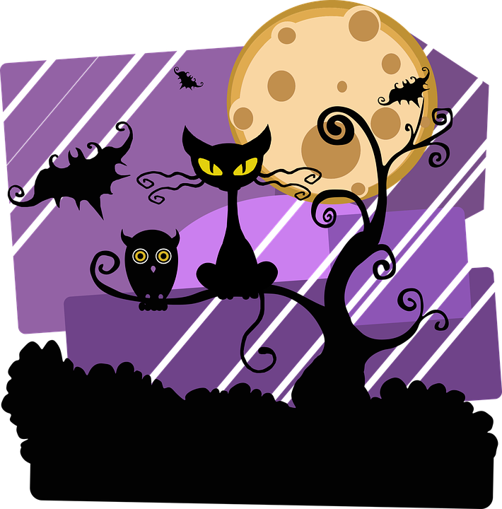 Chat noir et hibou