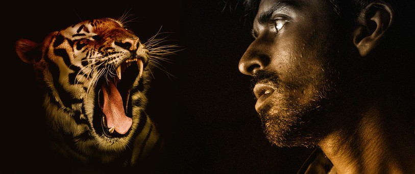 Tigre